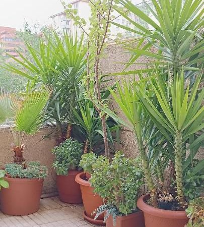 Apartamento Principe Caces Buitenkant foto