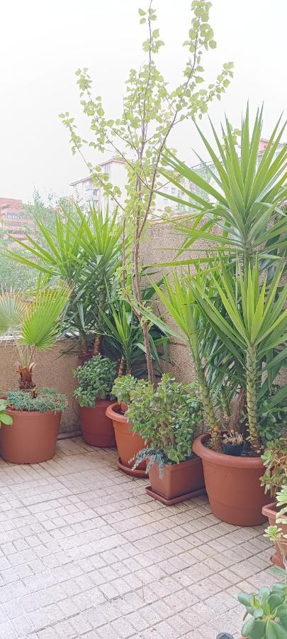 Apartamento Principe Caces Buitenkant foto