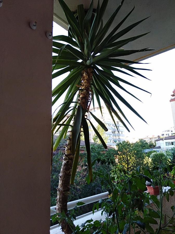 Apartamento Principe Caces Buitenkant foto